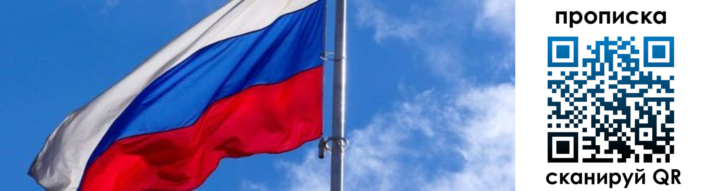 прописка поиск в Тольятти